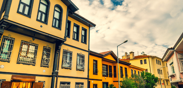 Bursa