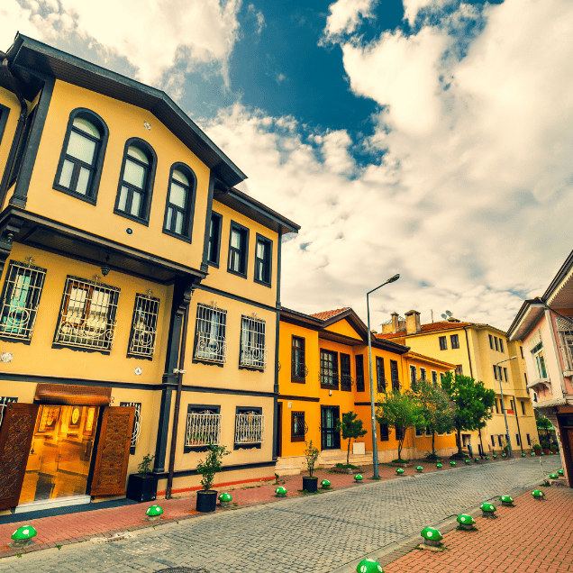 Bursa